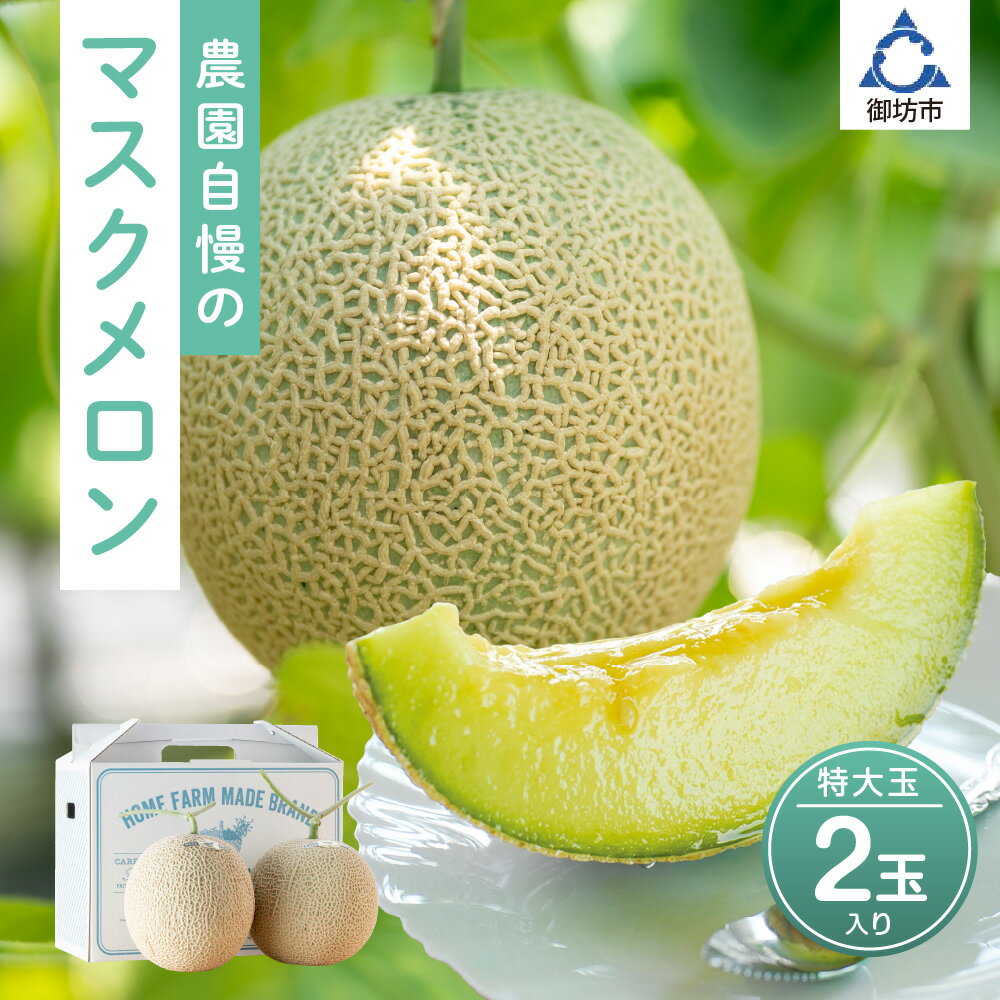 【ふるさと納税】農園自慢の『マスクメロン』(アールスメロン)特大玉×2玉入り《先行予約》2026年6月下旬から順次発送【配送不可地域：北海道・青森・秋田・岩手・沖縄・離島】