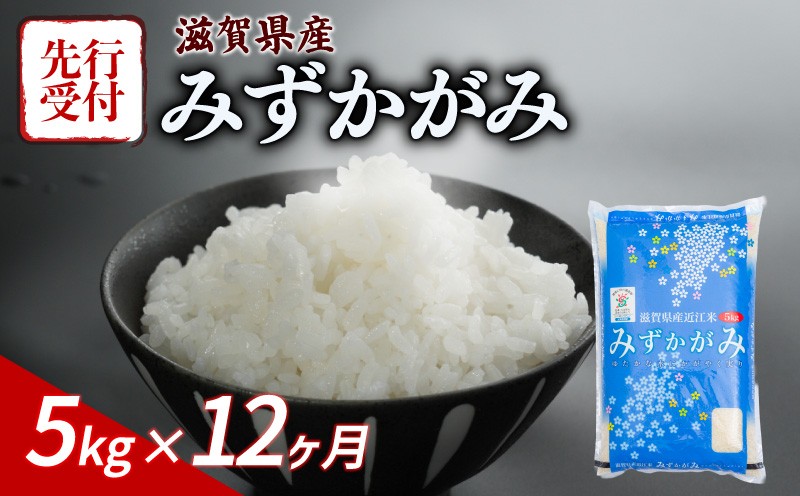 
                  【令和8年産】 先行予約 新米 みずかがみ 5kg 12ヶ月定期便 令和8年産 米 こめ ご飯 米 白米 近江米 定期便 12回定期便 12か月定期便 12回 12か月 5キロ 令和8年 おすすめ 滋賀 彦根
                