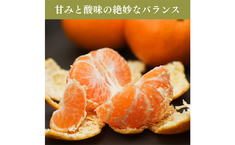 早生三ケ日みかん 秀S 4kg (約44個) みかん ミカン フルーツ 果物 くだもの 機能性表示食品 浜松市