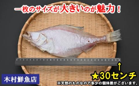 KI07：境港産一夜干しかれい（16枚）