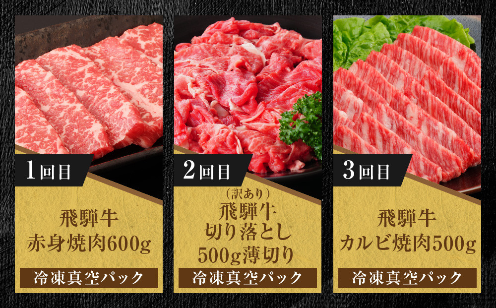 【定期便】全5回 飛騨牛 バラエティ（ステーキ /焼肉 / すき焼き/切り落とし） | 肉 お肉 黒毛和牛 和牛 個包装 小分け 牛肉 お取り寄せ 飛騨高山ミート MZ104