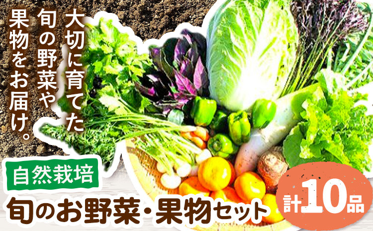 
            【自然栽培】 旬のお野菜・果物セット 計10品 野菜 やさい ヤサイ フルーツ 果物 くだもの 旬 セット 熊本県 苓北町 福田果樹園 《90日以内に出荷予定(土日祝除く)》
          