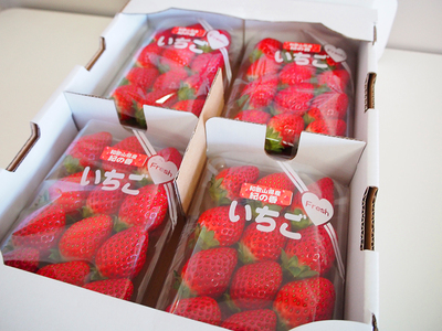 【2027年1月～2027年3月頃順次発送】【来シーズン先行予約】紀州和歌山ブランドいちご「紀の香」約250g×4P【uot868】 