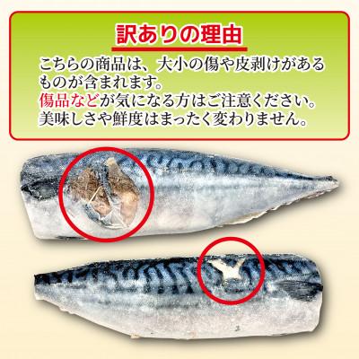 ふるさと納税 銚子市 【訳あり】無塩厚切りとろさば 約3.5kg |  | 02