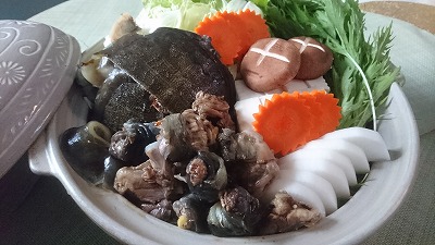 薬膳すっぽん鍋セット　H080-032