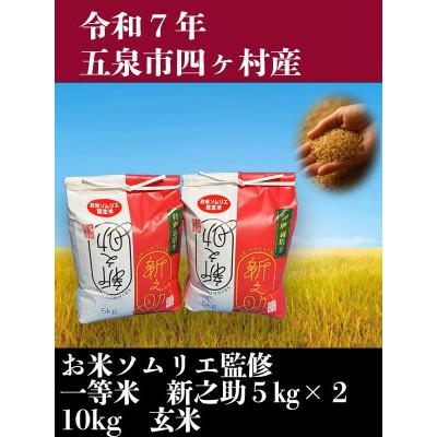 ふるさと納税 五泉市 【新米先行受付】R7年産新潟県五泉市産　新之助　10kg(5kg×2袋)　玄米