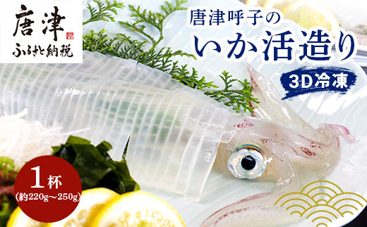 
                  『先行予約』唐津呼子産いか活造り 1杯(約220g～250g) 急速冷凍 新鮮そのまま食卓へ！イカ 刺身 簡単 ギフト ※水揚げあり次第7月以降順次発送させていただきます。
                