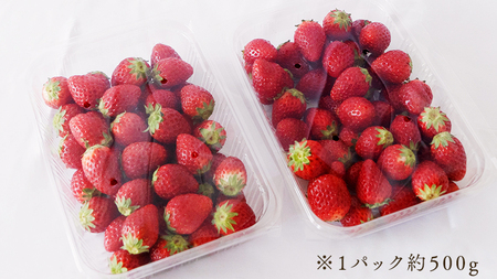 【訳あり】いちご 2kg（500g×4パック）【1月から発送開始】（茨城県共通返礼品 [いちご]：城里町産）