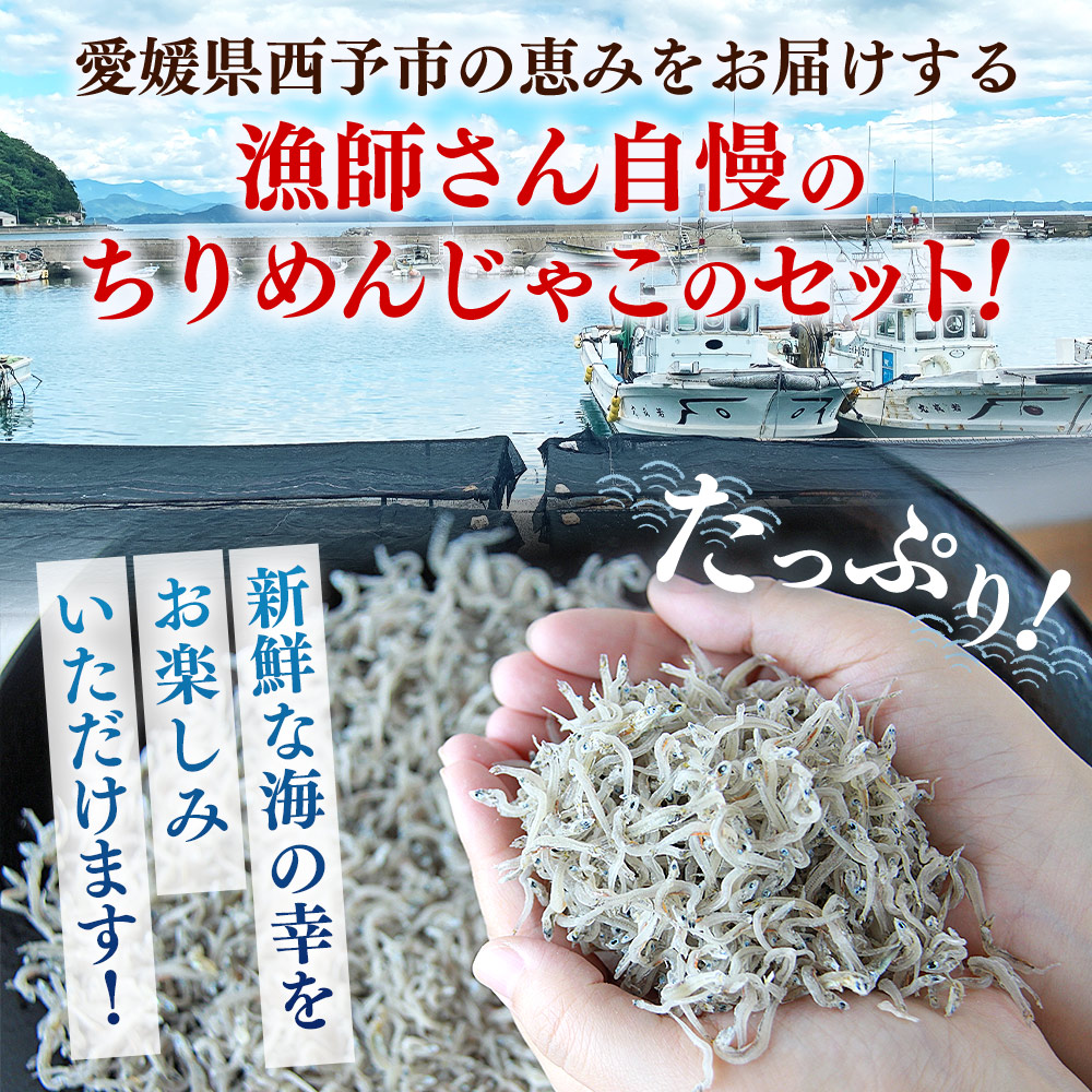 ＜【3回定期便】漁師さん自慢のちりめんじゃこ 合計350g（70g×5パック）＞ しらす シラス おじゃこ お魚 おさかな 小魚 魚介類 乾燥 海の幸 海鮮 小分け 個包装 おすそ分け 国産 産地直送