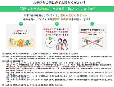 小谷村産 CO2フリーでんき 10,000 円コース（注：お申込み前に条 件を必ずご確認ください） ／中部電力ミライズ 電気 長野県 小谷村