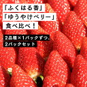 【ふるさと納税】【2月発送開始・数量限定】伊賀いちご園のレギュラーパック2P（280g/パック×2パック） - イチゴ ストロベリー strawberry プレゼント ふくはる香 ゆうやけベリー【1800801】