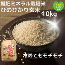 【ふるさと納税】【令和6年産米ができました】「ひのひかり」玄米 10kg ヒノヒカリ 奈良県 三宅町 おいしい 冷めても モチモチ