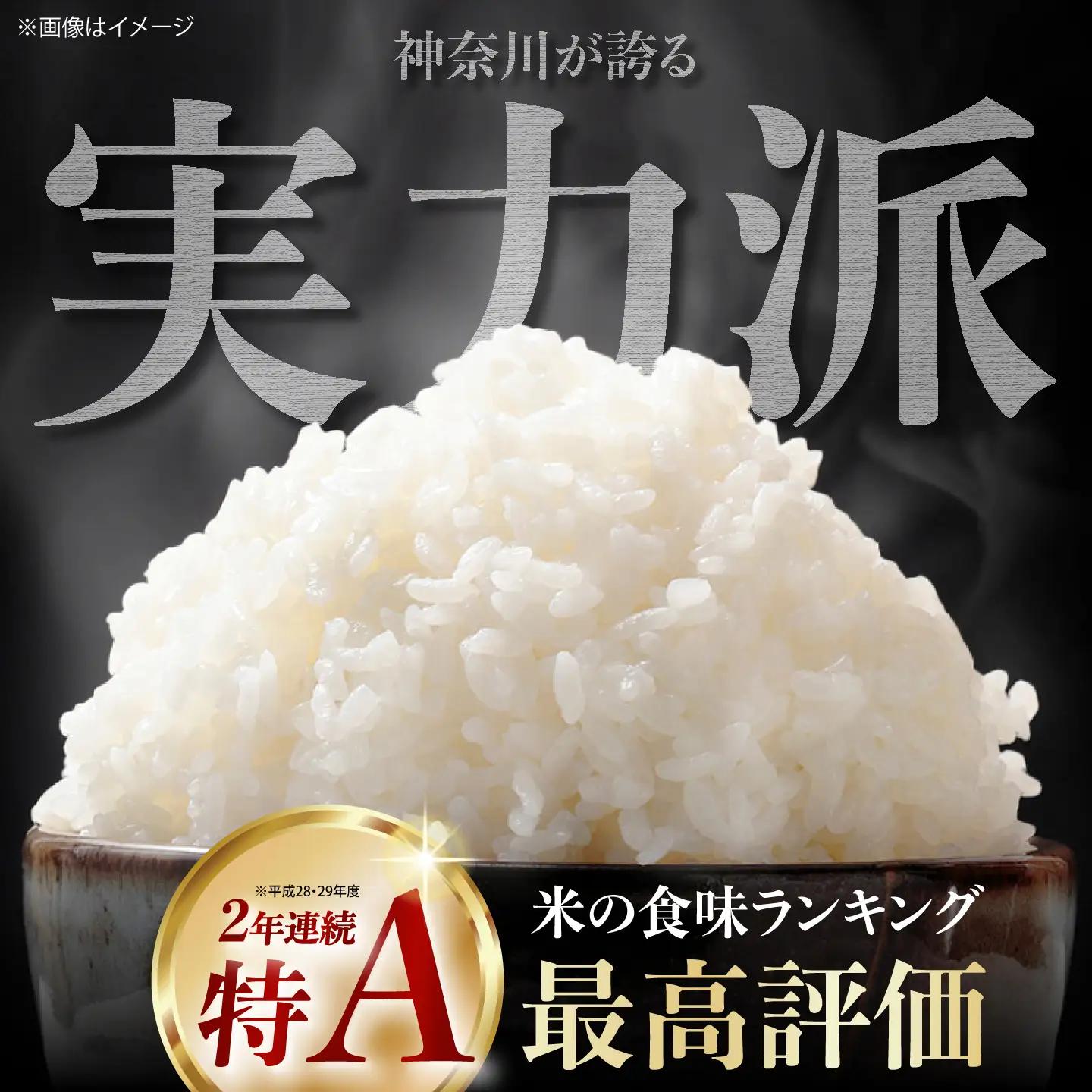 【令和8年産新米予約】【特Aランク受賞実績あり！】はるみ 10kg【井上農園】 米 お米 精米 白米 はるみ[BDBB006-2]