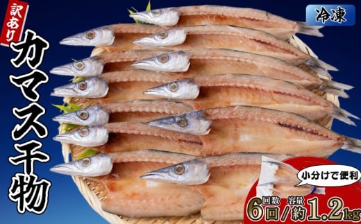 カマスの干物 6袋（約12尾） 【6回分】