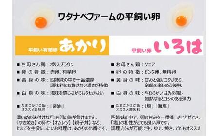 [ふるなび限定企画][平飼い卵食べ比べ] 平飼い有精卵あかり・平飼い卵いろは 各15個 合計30個