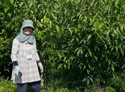 黒姫和漢薬研究所「自社栽培杜仲茶30包」2個セット【長野県信濃町ふるさと納税】