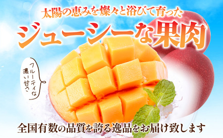 【期間・数量限定】宮崎県産 完熟マンゴ－ 3玉 果実 完熟 フルーツ