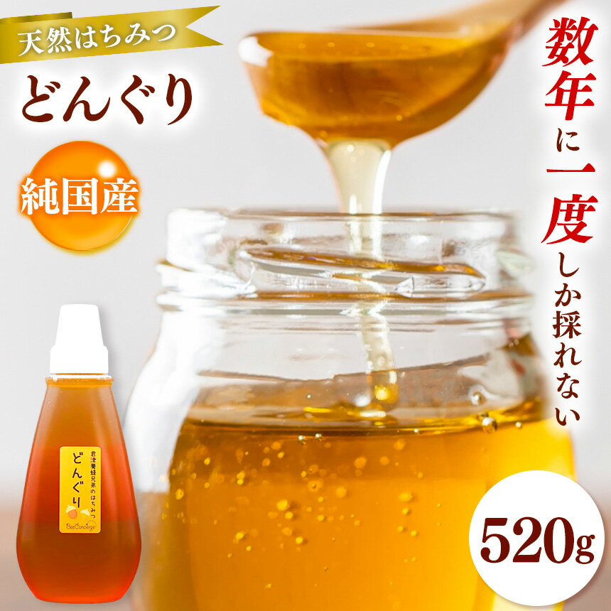 【ふるさと納税】 どんぐりはちみつ 520g | 養蜂家 齊藤兄弟 Bee concierge ビーコンシェルジュ はちみつ 蜂蜜 ハチミツ 国産蜂蜜 アカシア蜂蜜 新鮮 国産 千葉県 君津市 君津 きみつ
