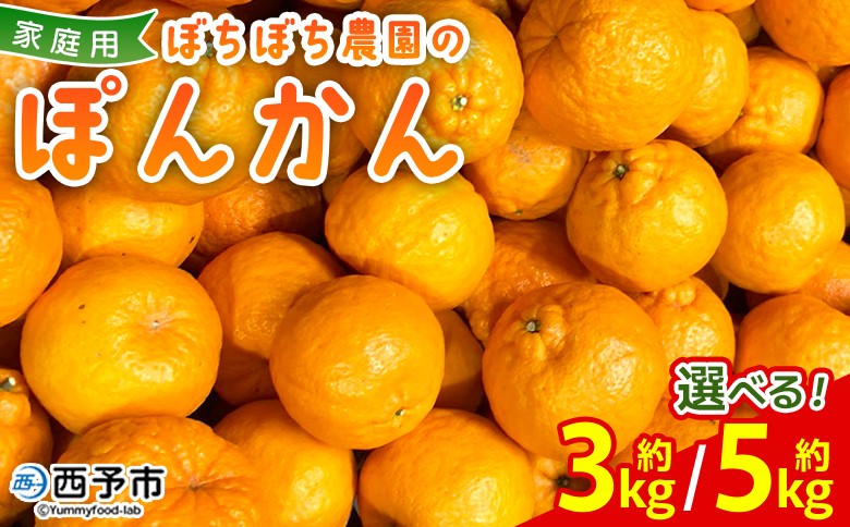 
                  ＜ぼちぼち農園のぽんかん 家庭用 約3/5kg＞ 選べる 3キロ 5キロ ぽんかん ポンカン 訳あり わけあり ワケアリ 果物 みかん ミカン 柑橘 フルーツ 生産量日本一 国産 特産品 ぼちぼち農園 愛媛県 西予市【常温】『2027年1月～2月迄に順次出荷予定』
                