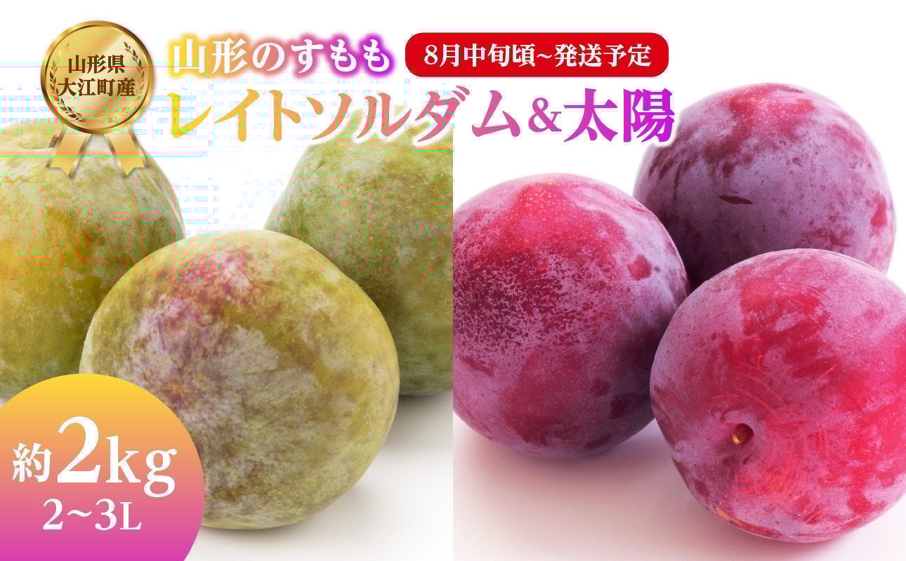
                  《先行受付》すもも「レイトソルダム」「太陽」約2kg 2～3L【2026年8月中旬頃～発送予定】【山形プラム・大江町産】 【001-078】
                