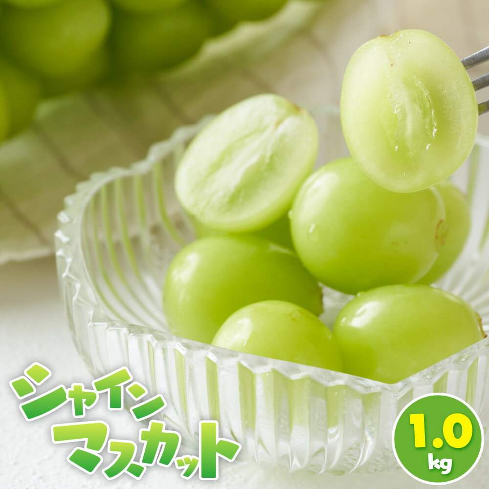 【ふるさと納税】シャインマスカット 1.0kg | フルーツ 果物 くだもの 食品