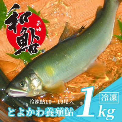 ふるさと納税 豊川市 【とよかわ鮎】鮎 (あゆ) 冷凍 1kg 厳選鮎使用!(急速冷凍)
