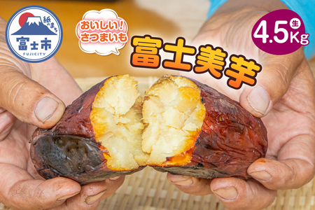 【先行予約】富士美芋 生4.5kg さつまいも 甘い 蜜がたっぷり 加熱後糖度30以上 絶品 栄養豊富 期間限定 富士市 やわらか [sf070-002]