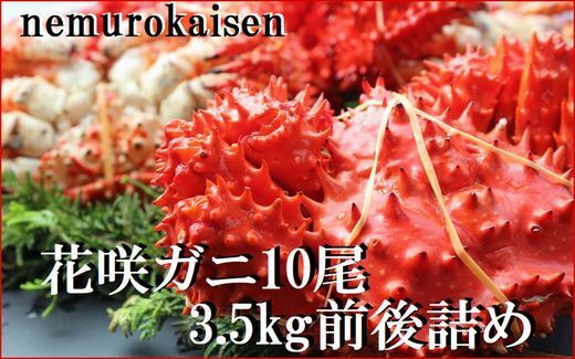 
                  C-57052 【北海道根室産】花咲ガニ10尾(計3.5kg前後)
                