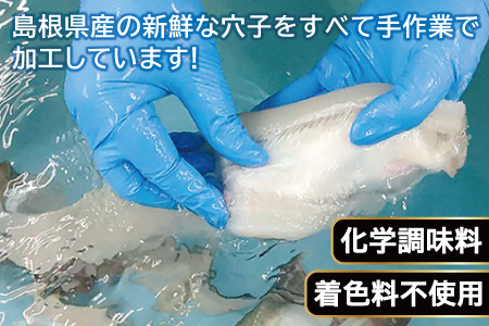 特大 あなご一夜干し 1尾  250g 「天女の羽衣」【250g 穴子干物 魚介類 魚 穴子 アナゴ 干物 特大 50cm 無添加 天日塩 新鮮 冷凍 真空パック 贈答  ギフト 父の日 母の日】