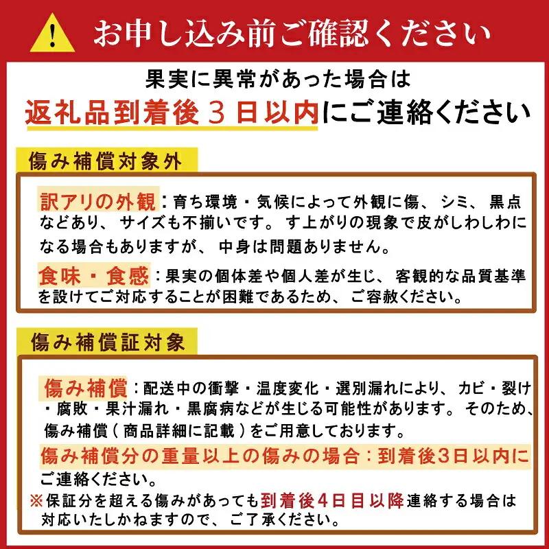 【愛媛みかん】 訳あり 3kg みかん