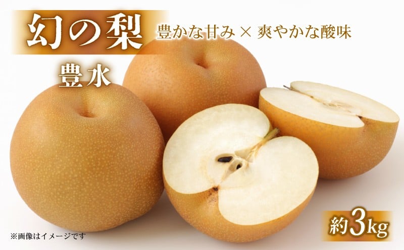 
            【先行受付 数量限定】 彦根梨 豊水 約 3kg 梨 2025年9月発送予定 豊水梨 和梨 なし フルーツ 果物 ギフト プレゼント 贈り物 贈答品 お取り寄せ 限定品 滋賀 彦根
          
