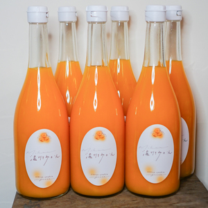 【2026年2月上旬から順次発送】温州みかんジュース 720ml × 6本 果汁100% 無添加 ストレートジュース 数量選択可 | みかんジュース 果汁100% みかんジュース ストレート 100%