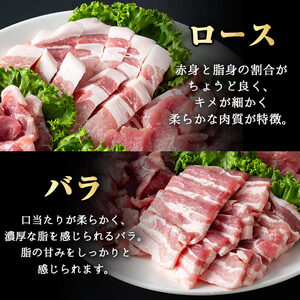鹿児島県産 豚肉 霜降り トロ豚 焼肉 バラエティ セット(合計3kg)【KNOT】 A566-v01