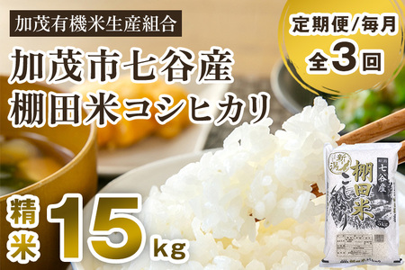 【令和7年産新米先行予約】【定期便3回毎月お届け】新潟県加茂市 七谷産 棚田米コシヒカリ 精米15kg（5kg×3） 《10月中旬から順次出荷》 白米 加茂有機米生産組合 定期便 定期購入 定期 新潟県産コシヒカリ 米 お米
