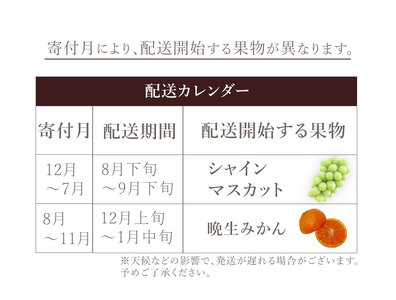 フルーツ定期便 2回 三豊市 特大シャインマスカット 800g 晩生みかん 7kg【配送不可地域：北海道・沖縄県・離島】_M160-0030