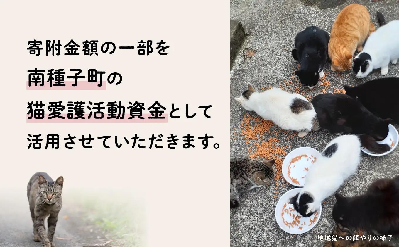 《返礼品なし》 猫愛護活動支援 5,000円 猫ちゃん 猫 ねこ 動物 保護 愛護 保護活動 応援 支援 寄付 南種子町 鹿児島 かごしま