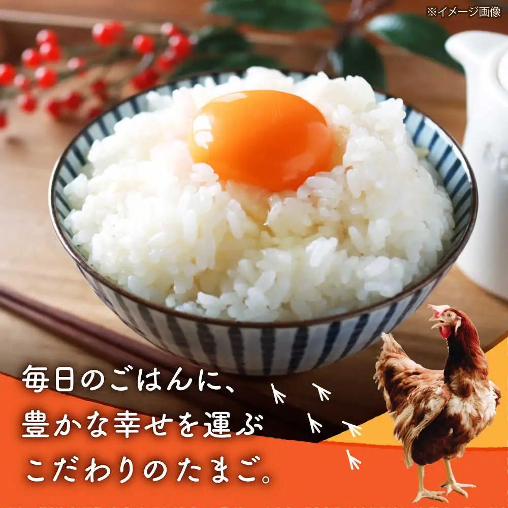 【全12回定期便】赤たまご M玉 90個（85個＋5個割れ保証）【株式会社 かもと養鶏】タマゴ 玉子 熊本県 卵 国産 新鮮 あかたまご M玉  濃厚   [ZCA016]