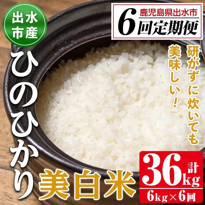 【6回定期便(連続)】鹿児島県 出水市産 ひのひかり 美白米 定期便 (3kg×2袋・計6kg)×全6回 【田上商店】 i543