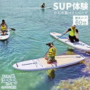 【ふるさと納税】《かもめ島マリンピング2024》SUP体験［1名 基本コース60分］　サップ（パドルアウト）　ボード・パドル・ライフジャケットレンタル　町民インストラクターがサポート　アクティビティ　マリンスポーツ　海洋体験　檜山道立自然公園特別エリア