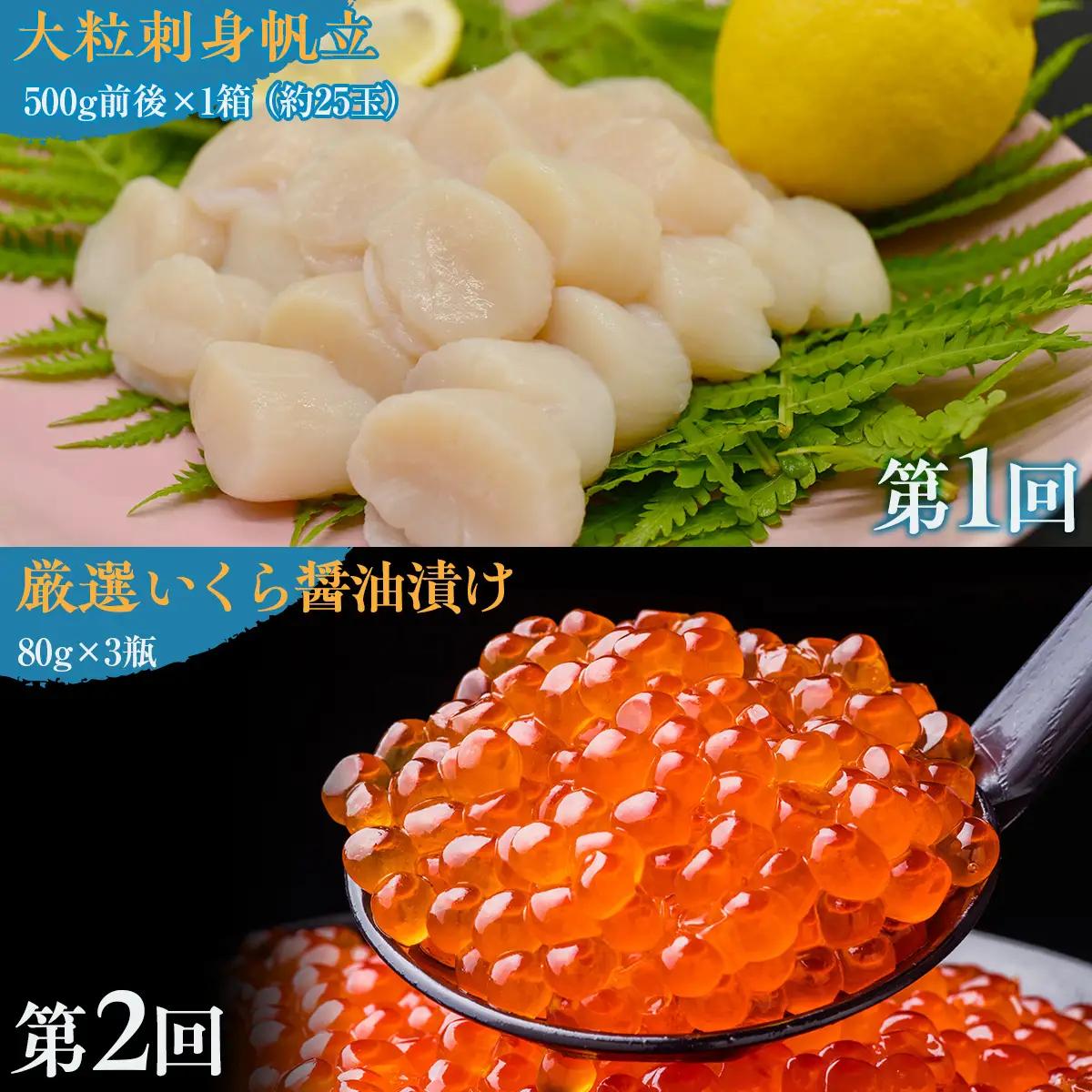 【毎月定期便】網走自慢の美味定期便(刺身帆立・いくら醤油漬け・イカ刺身)全3回 【 ホタテ ほたて 帆立 いくら イクラ いくら醤油漬 イクラ醤油漬 】 ABAO089