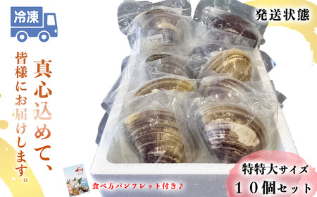 岬だよりの 個包装 大粒!天然はまぐり(特特大サイズ)170g前後×10個入り [配送不可地域：離島]