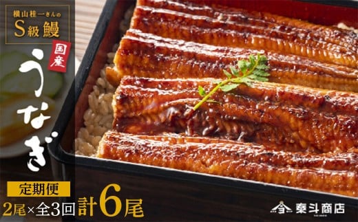 【定期便全3回】横山桂一さんのS級鰻　大2尾　×3回配送　計6尾