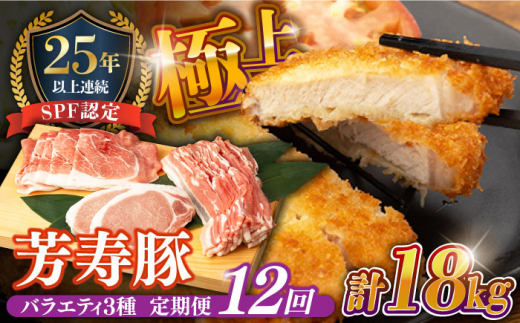 豚肉「12回定期便」★ SPF豚 やっちゃおいしか芳寿豚バラエティセット 計1500g ★ / 豚肉 ぶたにく ブタニク ぶたにく ブタニク ブタニク 豚肉 定期便 ほうじゅとん SPF豚 spfポーク 小分け バラ しゃぶしゃぶ しゃぶしゃぶ用 小分け ロースとんかつ とんかつ 豚バラ 豚ばら スライス ロース / 南島原市 / 芳寿牧場 [SEI019]