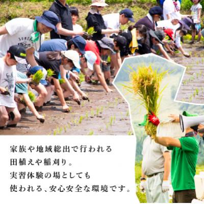 ふるさと納税 養父市 農業特区兵庫県養父市産こしひかり5kg |  | 02