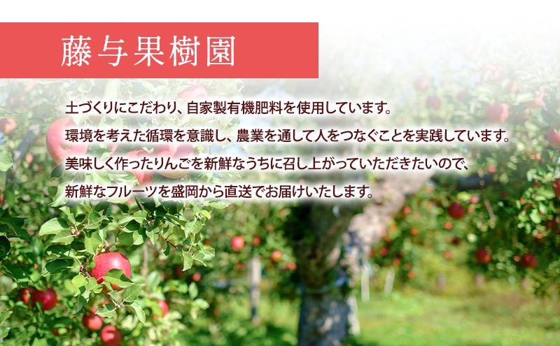 【10月から発送】 りんご 盛岡から「農で人をつなぐ」藤与果樹園：《 訳あり 》 シナノスイート 約3kg 6～11玉 玉数指定不可 詰め合わせ 岩手 盛岡