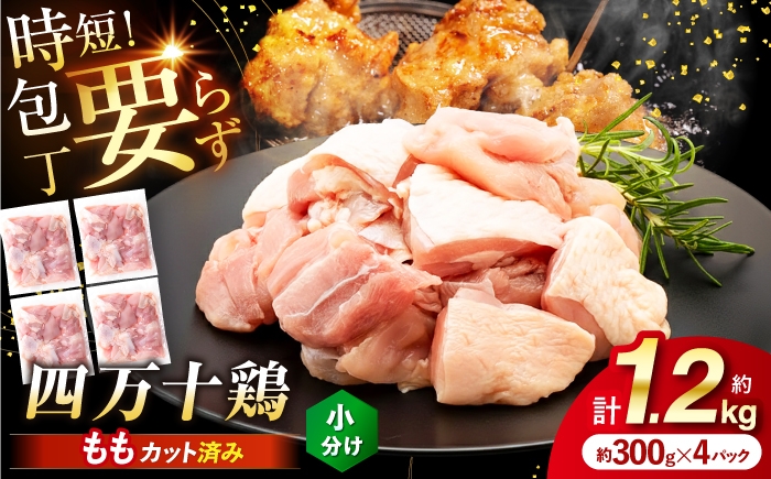 
                  【選べるお届け回数】四万十鶏もも肉 切身 約1.2kg （約300g×4パック） 3回・6回・12回 カットでかんたん 時短セット / 四万十鶏 もも肉 小分け 冷凍 カット 時短 【三栄ブロイラー販売株式会社】 [ATDP016]
                