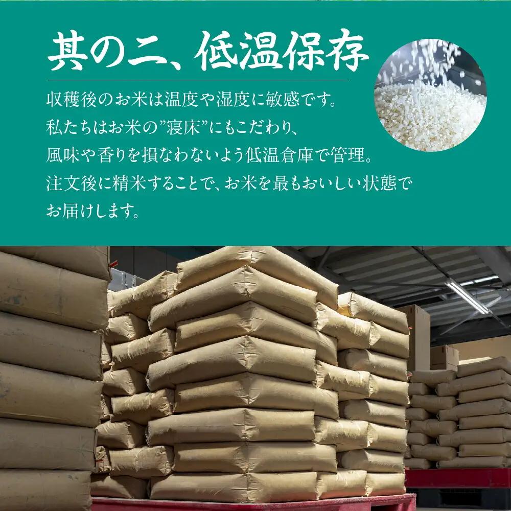 令和7年産 ミルキークイーン 10kg 定期便 3回 白米 ブランド米 ミルキー ﾐﾙｷｰｸｲｰﾝ お米 こめ 米 ※ コメ ご飯 生活必需品 日用品 定期 定期配送 人気 美味しい 取り寄せ 10キ