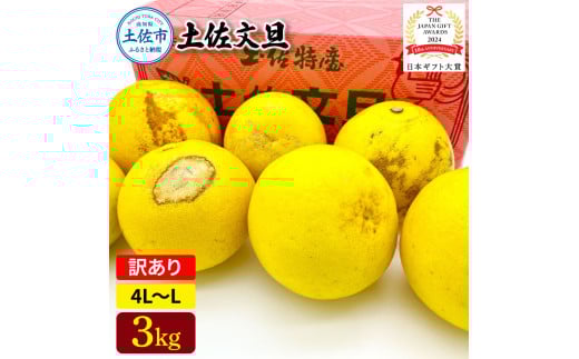 日本ギフト大賞受賞 園主こだわり土佐文旦 訳あり(4L～L）3kg 3キロ 文旦 土佐文旦 ワケアリ ぶんたん ぼんたん フルーツ 果物 柑橘 みかん 蜜柑 家庭用 自宅用 高知 土佐 国産 常温