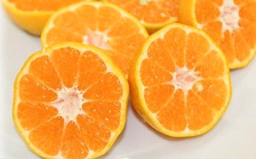 ＜先行予約受付中！2025年12月上旬頃より順次発送予定！＞池之上果樹園の旬のポンカン(約10kg・M/Lサイズ混合) 国産 鹿児島県産 果物 ぽんかん 椪柑 みかん ミカン 蜜柑 フルーツ 果実 冬