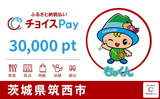 
                  筑西市チョイスPay 30,000pt【会員限定のお礼の品】
                